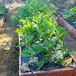 Madre Del Agua. El Robledillo 莫内斯特里奥