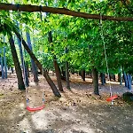 Madre Del Agua. El Robledillo 木屋 莫内斯特里奥