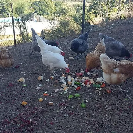 Chalet Madre Del Agua. El Robledillo