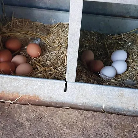 Madre Del Agua. El Robledillo