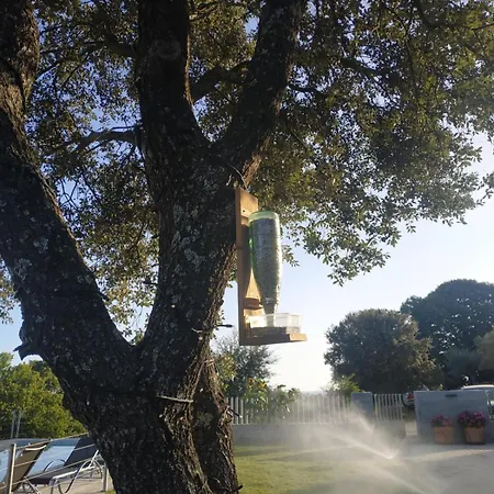 Chalet Madre Del Agua. El Robledillo *