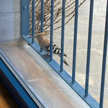 Madre Del Agua. El Robledillo