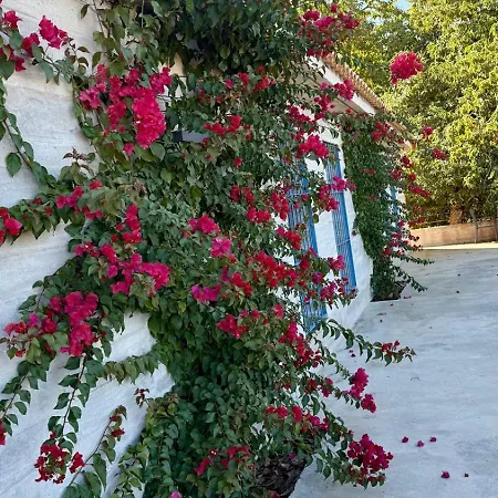 Madre Del Agua. El Robledillo