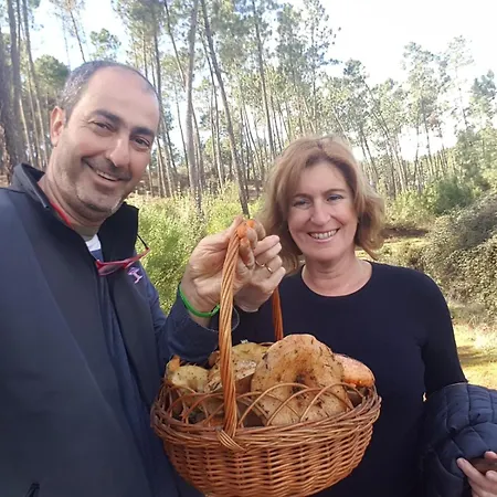 Madre Del Agua. El Robledillo Monesterio