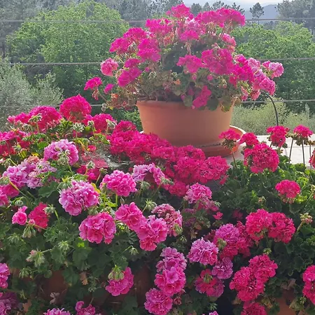 Madre Del Agua. El Robledillo Chalet