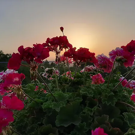 Madre Del Agua. El Robledillo * Monesterio