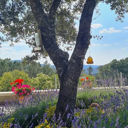 Madre Del Agua. El Robledillo Chalet