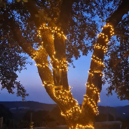 Chalet Madre Del Agua. El Robledillo Monesterio