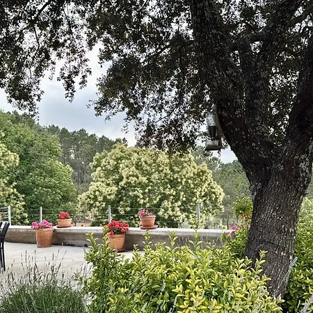 Madre Del Agua. El Robledillo * Monesterio