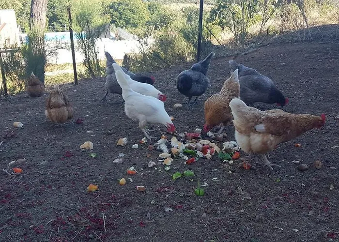 Chalet Madre Del Agua. El Robledillo