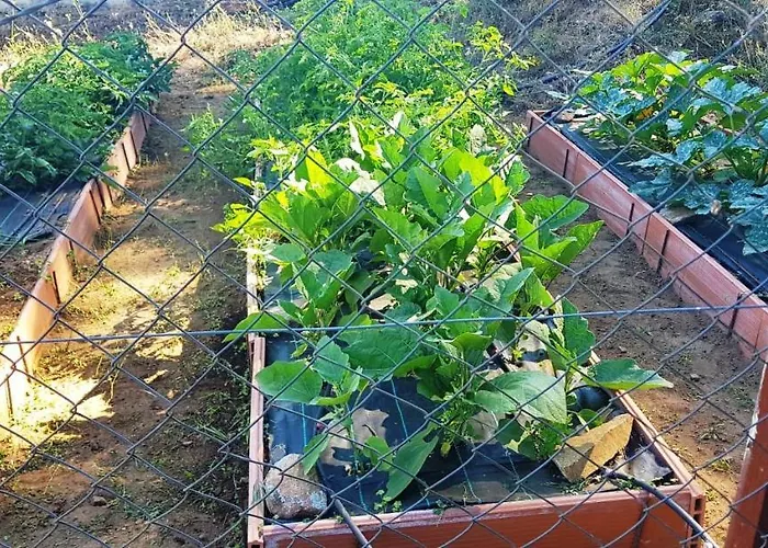 Madre Del Agua. El Robledillo Monesterio