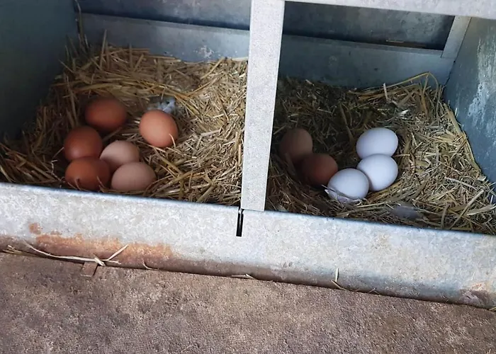 Madre Del Agua. El Robledillo