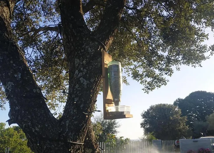 Chalet Madre Del Agua. El Robledillo *