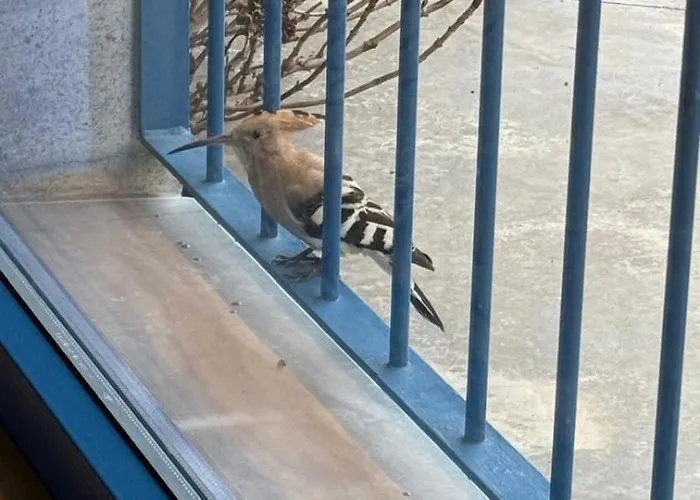 Madre Del Agua. El Robledillo