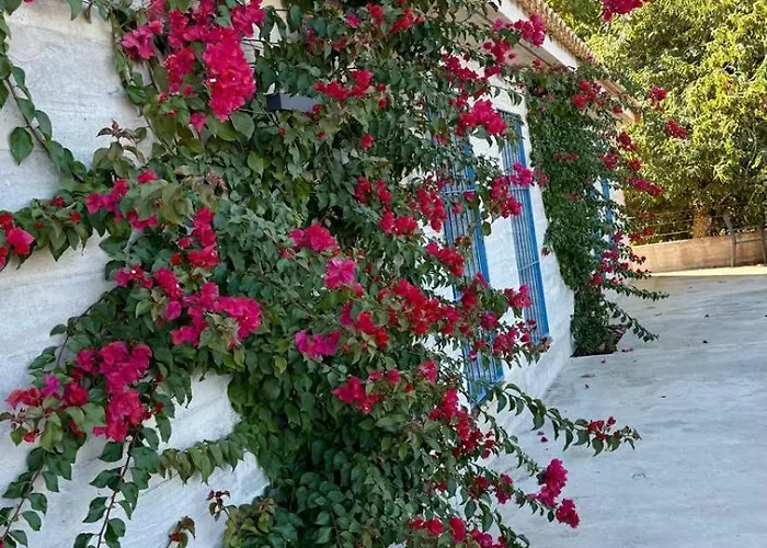 Madre Del Agua. El Robledillo