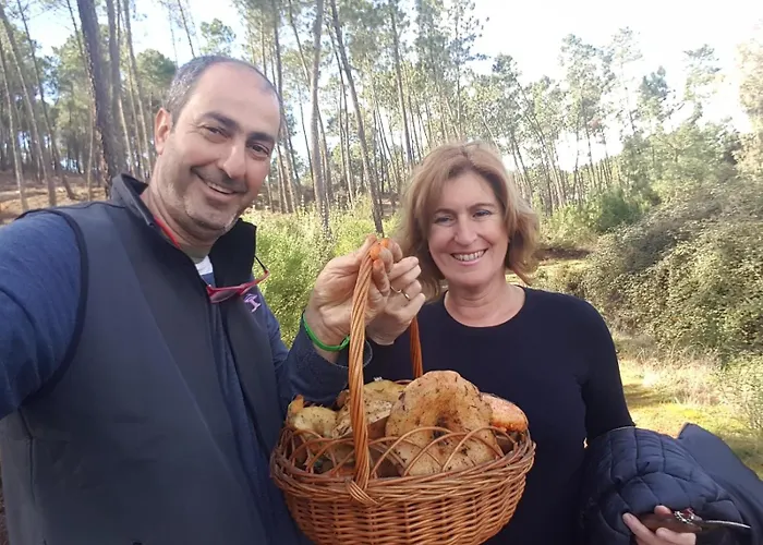 Madre Del Agua. El Robledillo Monesterio