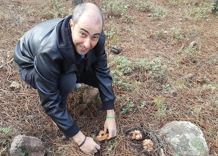 Madre Del Agua. El Robledillo 샬레