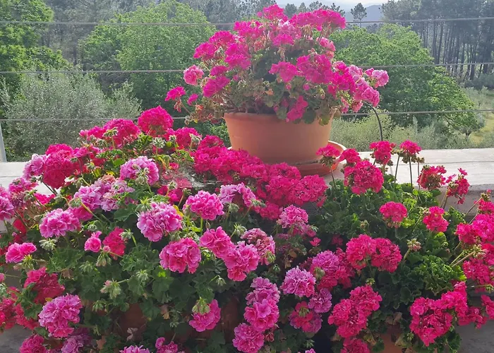 Madre Del Agua. El Robledillo 샬레