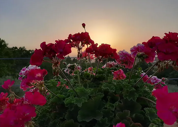 Madre Del Agua. El Robledillo * 모네스테리오