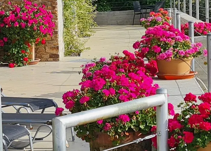 Madre Del Agua. El Robledillo *