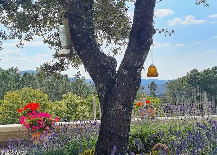 Madre Del Agua. El Robledillo Chalet