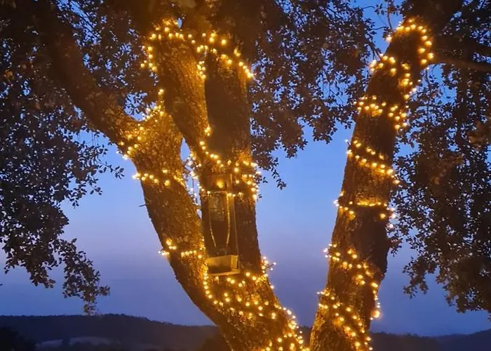 샬레 Madre Del Agua. El Robledillo 모네스테리오