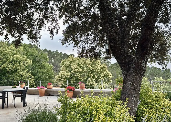 Madre Del Agua. El Robledillo * Monesterio